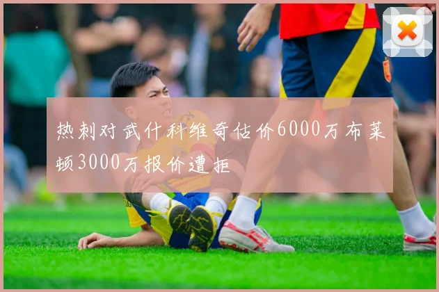 热刺对武什科维奇估价6000万布莱顿3000万报价遭拒
